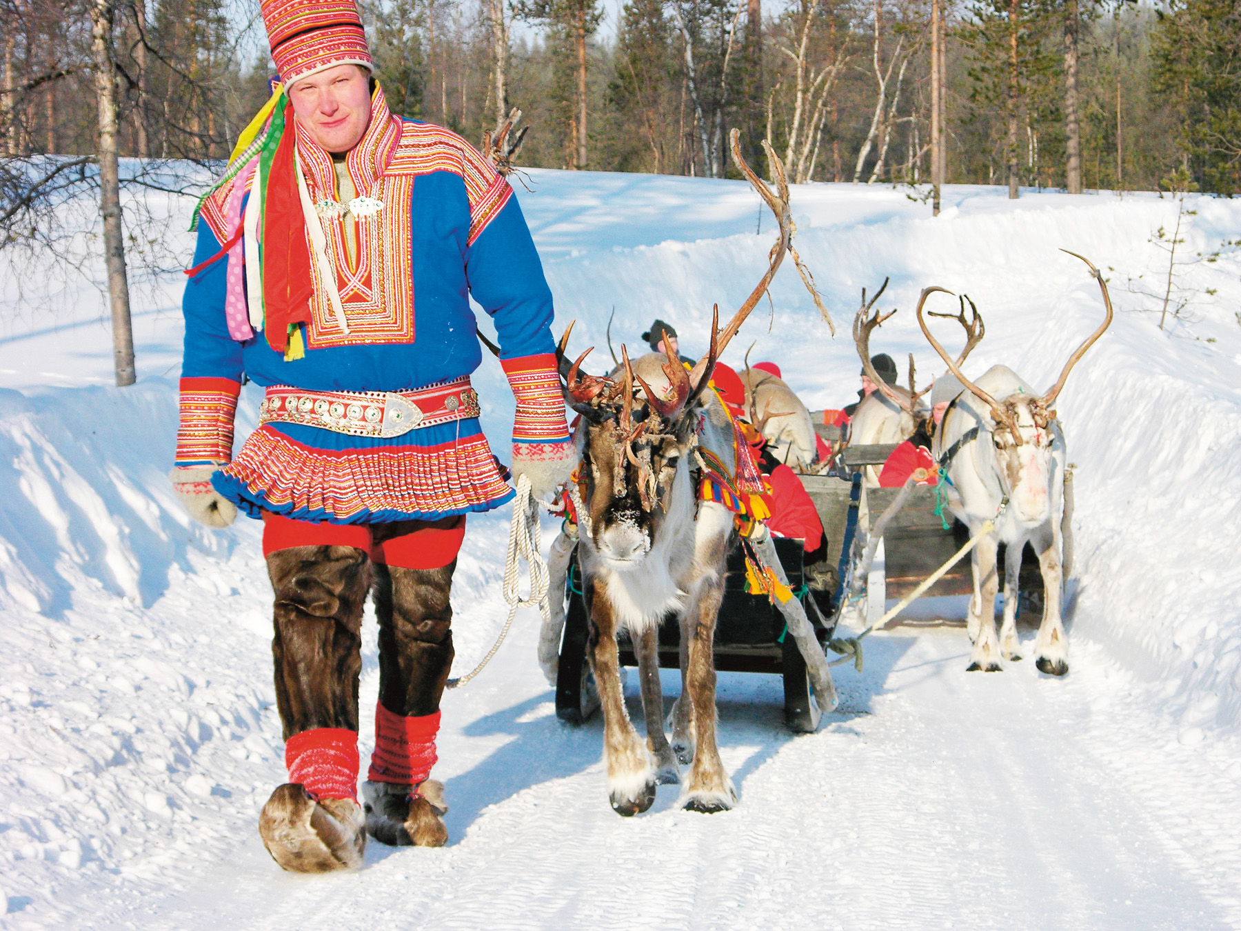 Reindeer_p37_3