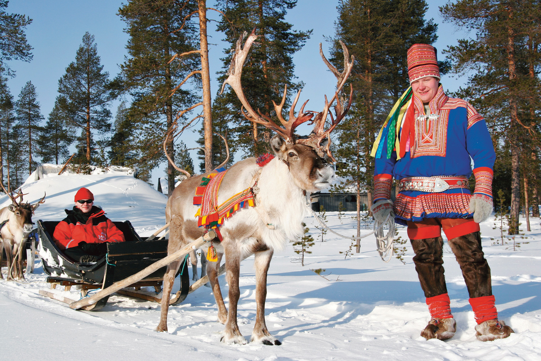 Reindeer_p85_1