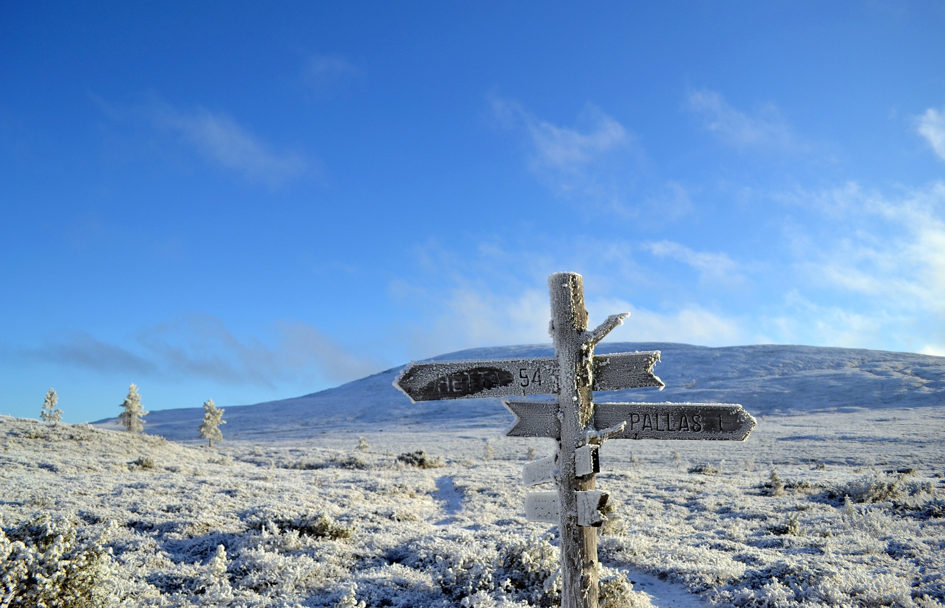 Tundra, GoLapland